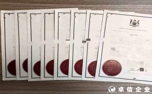 2022英國無犯罪記錄公證認證？（成功案例分析）